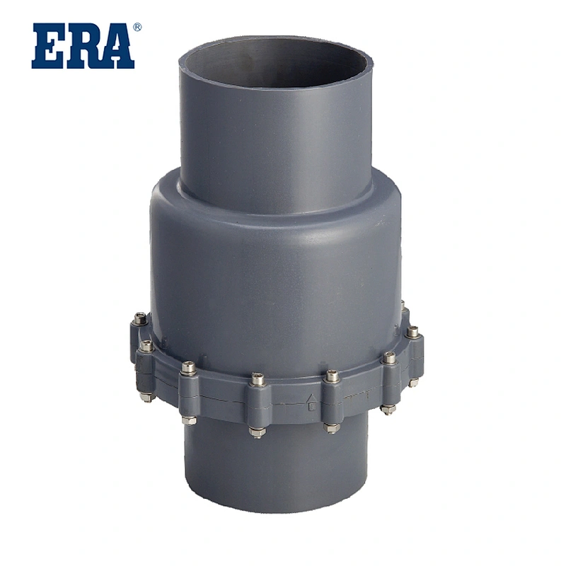 Swing Check Valve
