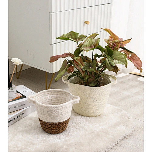 boîte de rangement organisateur