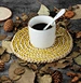placemats dining table mat for dining table luxury