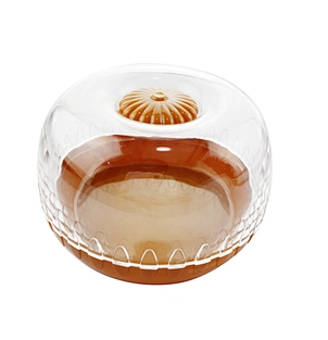 Onion storage box