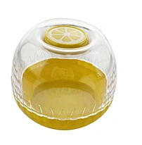 Lemon preservation box