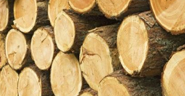 4-Oak Wood