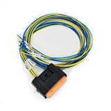 bugle cord