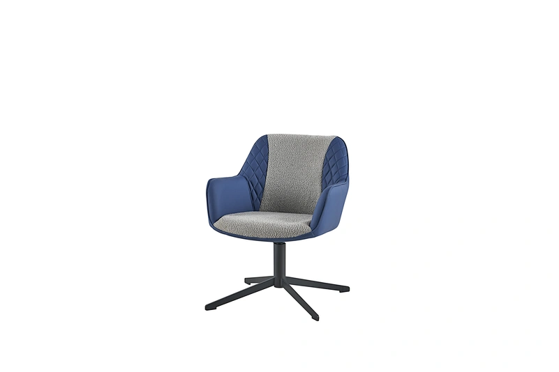 chair study chair lounge chair swivel