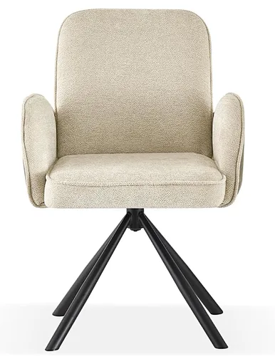 dining room dining chair