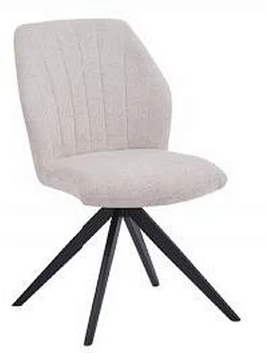 dining room dining chair