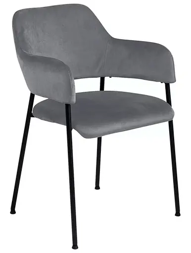 dining room dining chair