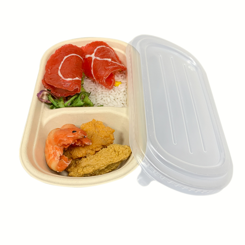 Bagasse Packaging Food Containers