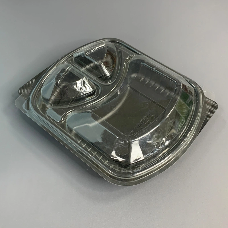 3 Compartment Plastic Lunch Box with Clear Lid
