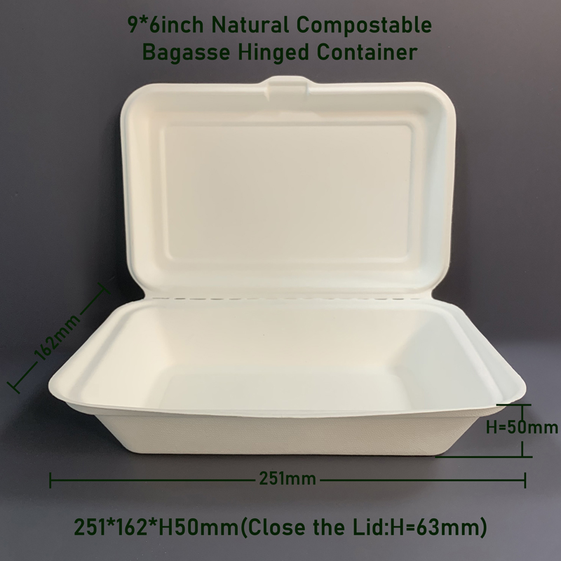 9*6inch Natural Compostable Sugarcane Bagasse Containers