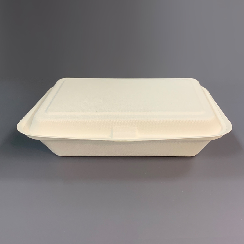 Biodegradable Bagasse Hinged Containers Food Packaging
