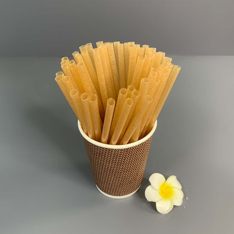 Biodegradable PLA Bagasse Straws