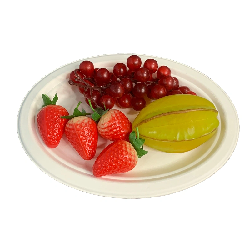 Bagasse Oval Steak Plate Multipurpose Plate