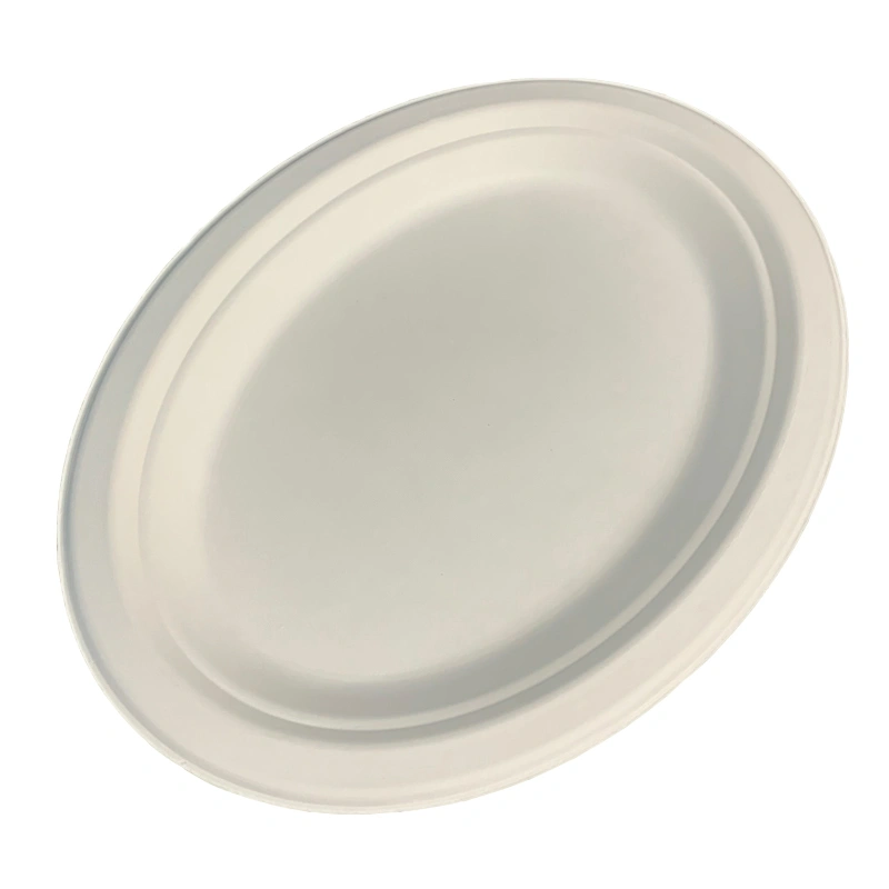 Biodegradable Bagasse Oval Steak Plate