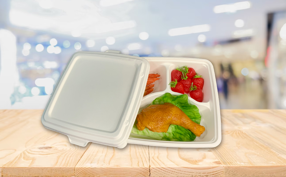 9 inch 3Compartment Bagasse Food Takeaway Box