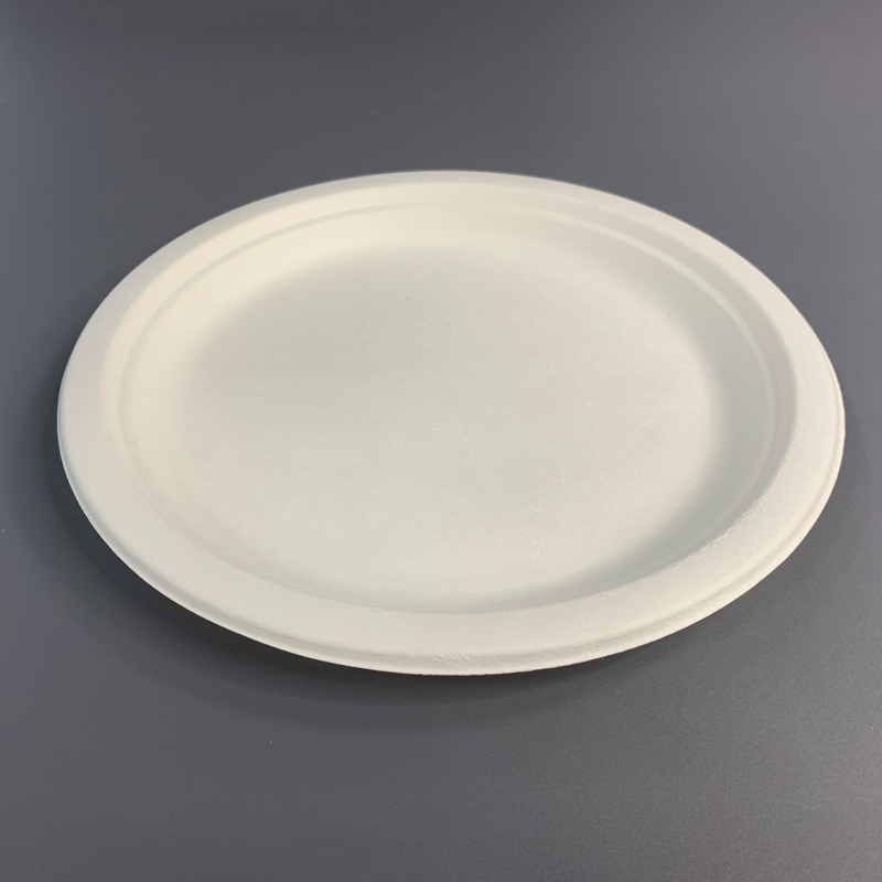 Disposable Sushi Trays