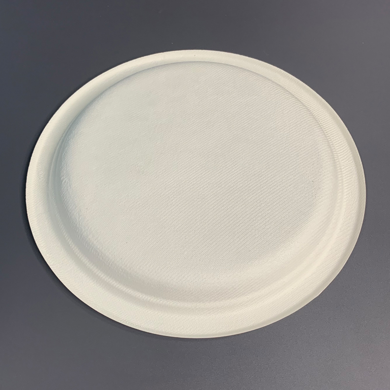 100%Compostable Sugarcane Pulp Plate