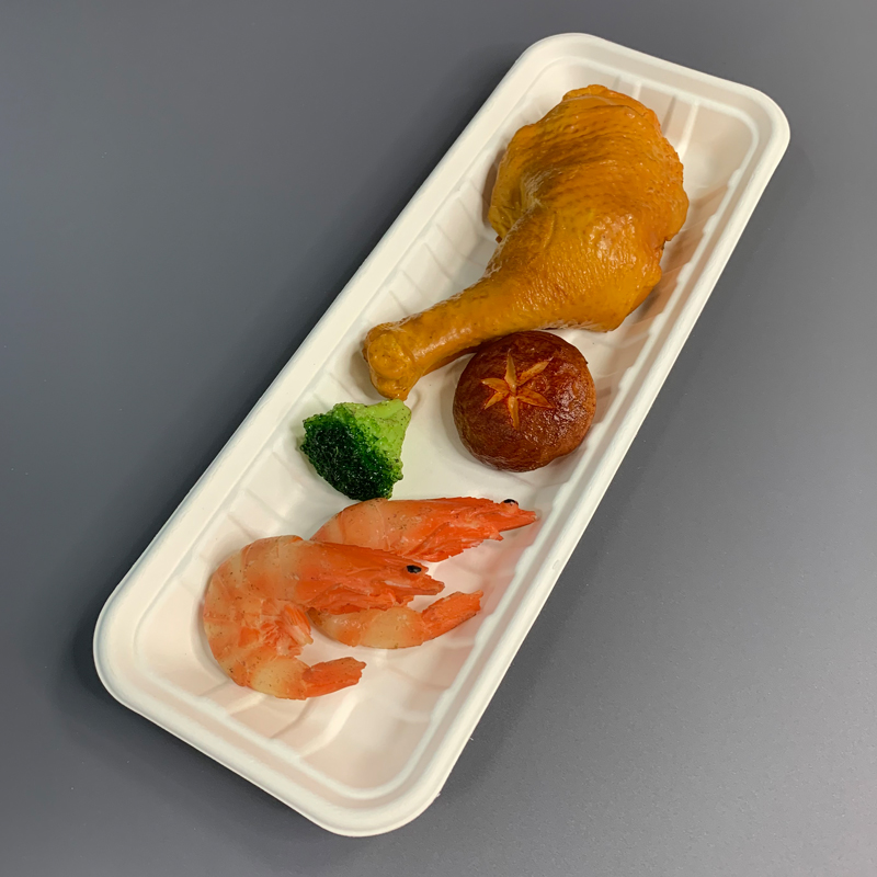 Eco-friendly Bagasse Sushi Party Tray