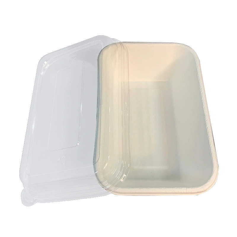 Compostable Bagasse Food Box with PET Lid