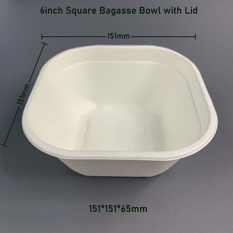Compostable 6inch Square Bagasse Bowl with Lid