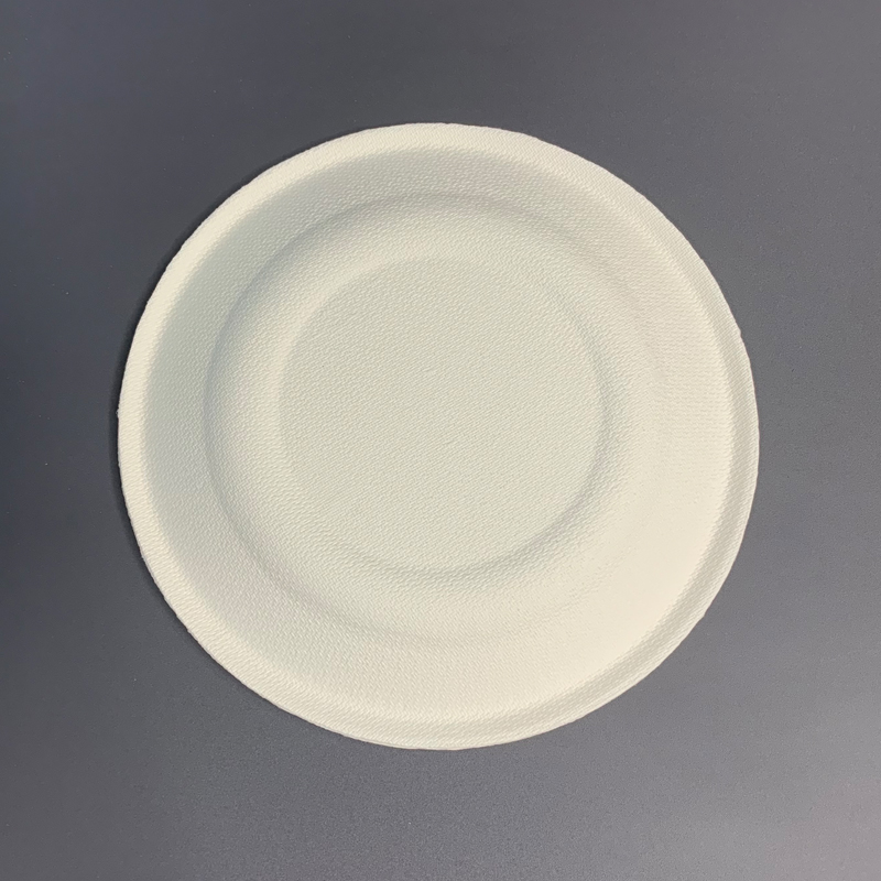 Biodegradable Sugarcane Bagasse Plate