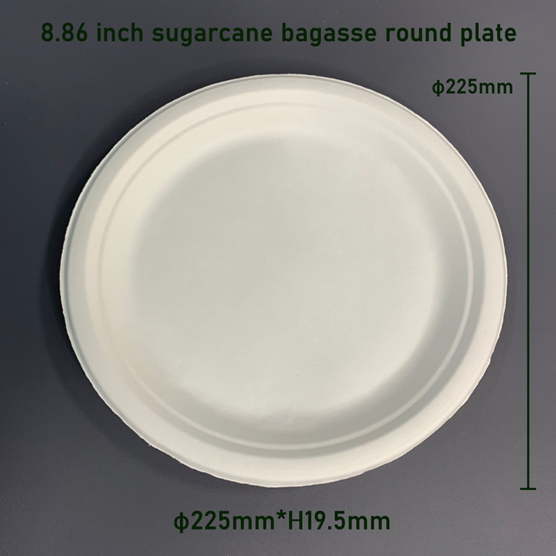 8.86 inch Sugarcane Bagasse Biodegradable Food Plate