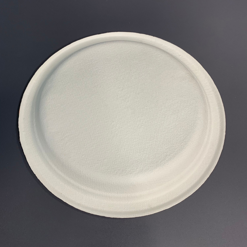 Biodegradable Food Plate