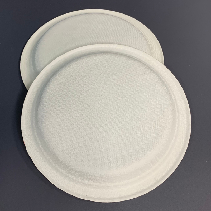 Bagasse Biodegradable Food Plate