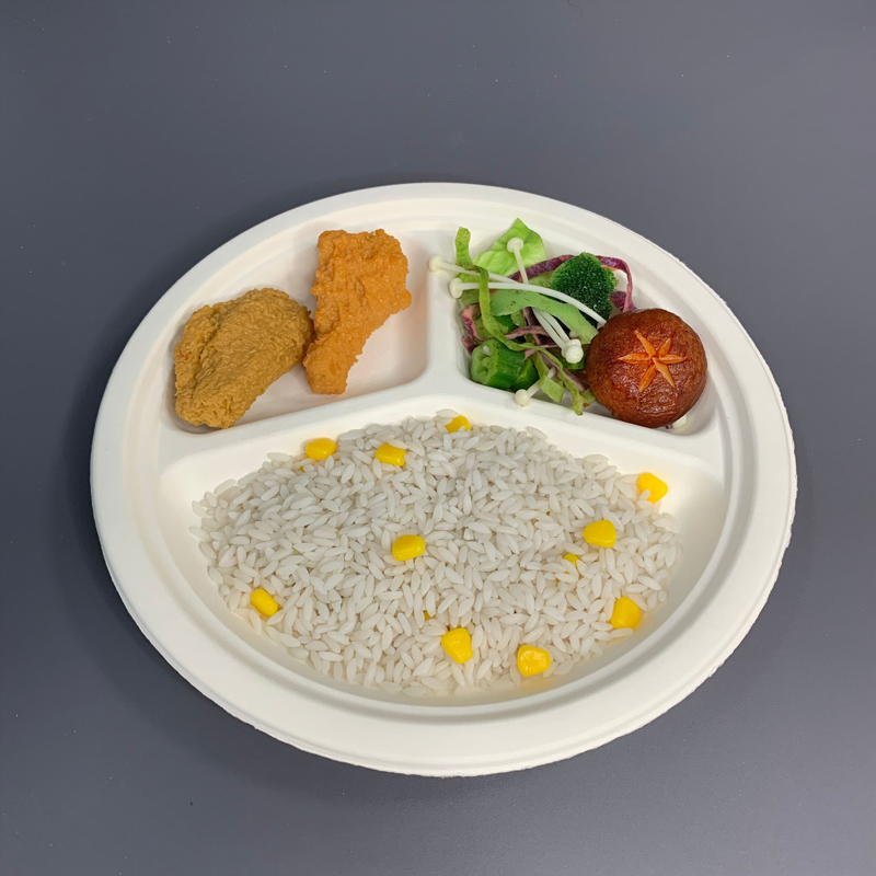 3Compartments Biodegradable Bagasse Plate