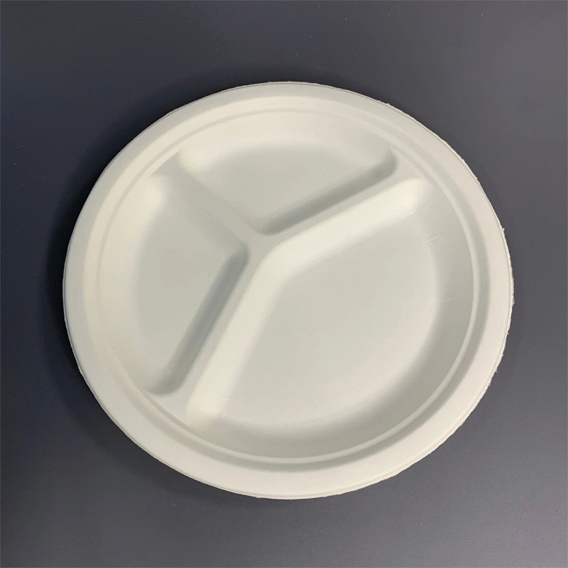 Biodegradable Bagasse Plate