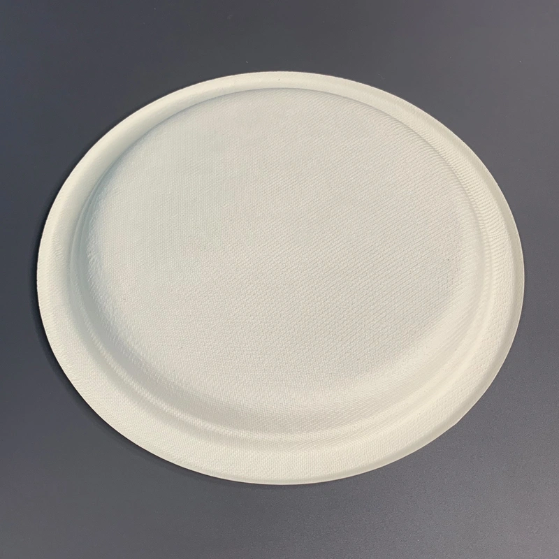 100%Compostable Sugarcane Pulp Plate