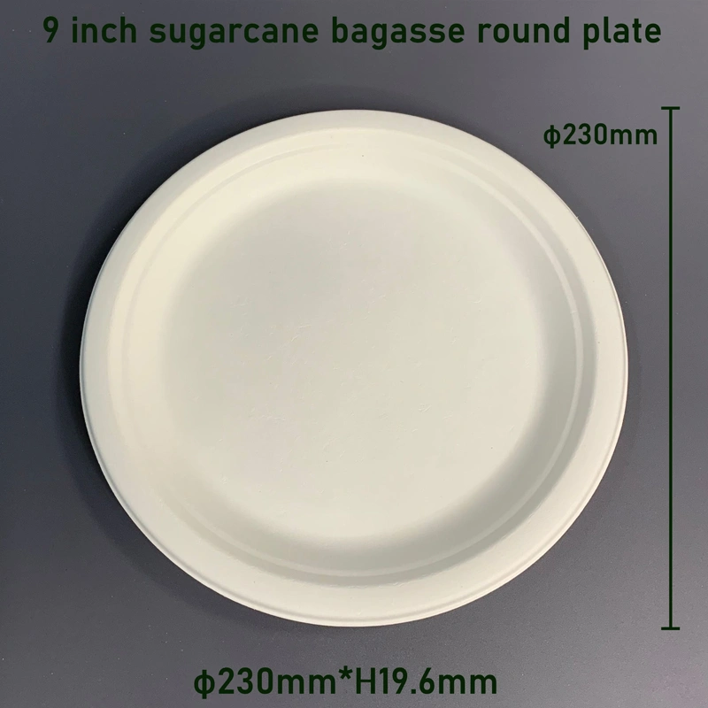 9 inch Sugarcane Bagasse Dispostable Food Plate