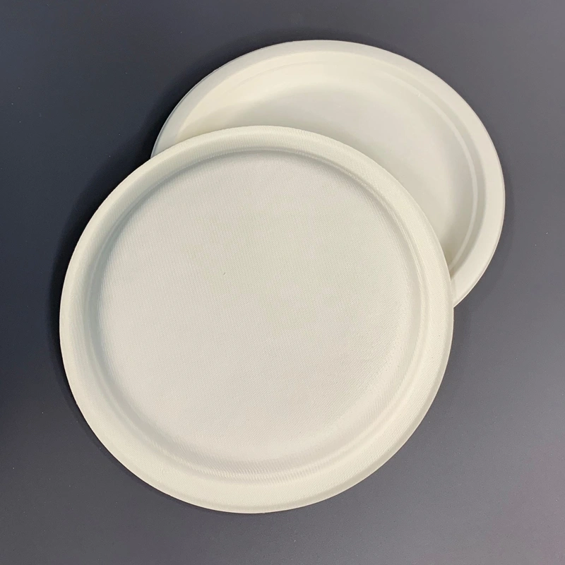 Bagasse Dispostable Food Plate