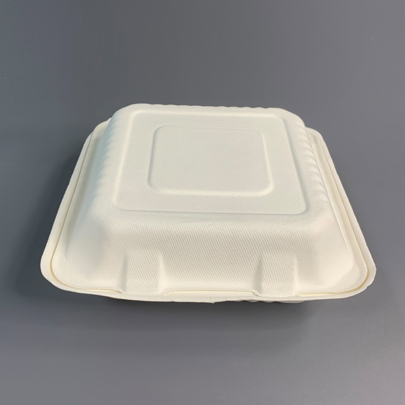 Biodegradable Bagasse Food Container Manufacturer