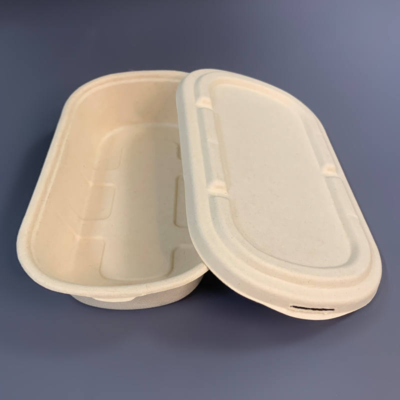 100% Compostable Sugarcane Bagasse Take Out Food Container