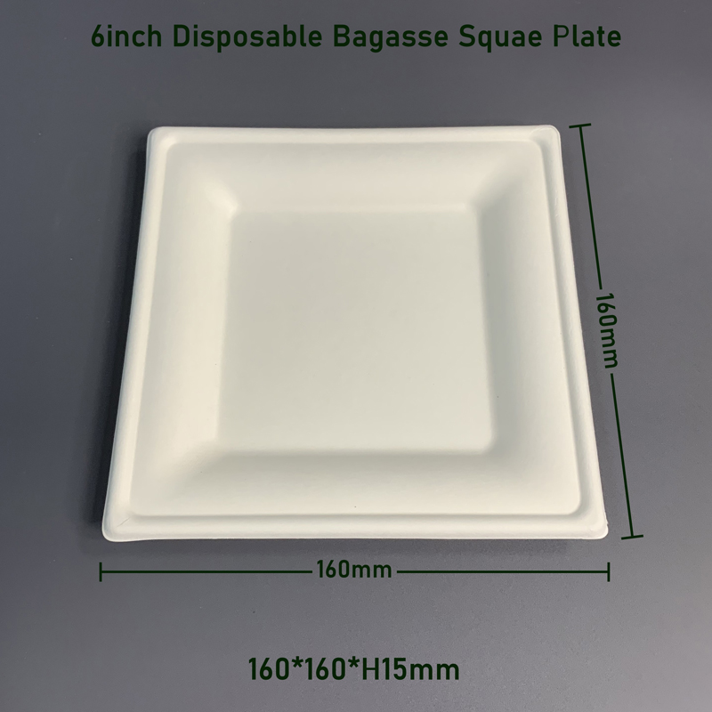6 Inch Biodegradable Square Bagasse Disposable Plate