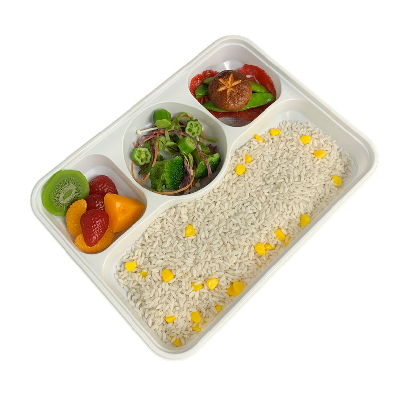 Food Grade PP Plastic Disposable Lunch Tray