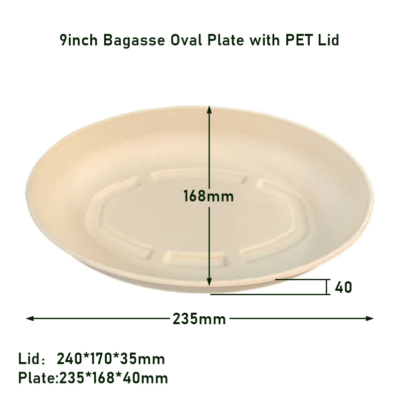 Compostable Sugarcane Take Out Containers with Lid 9inch Oval Disposable Plate