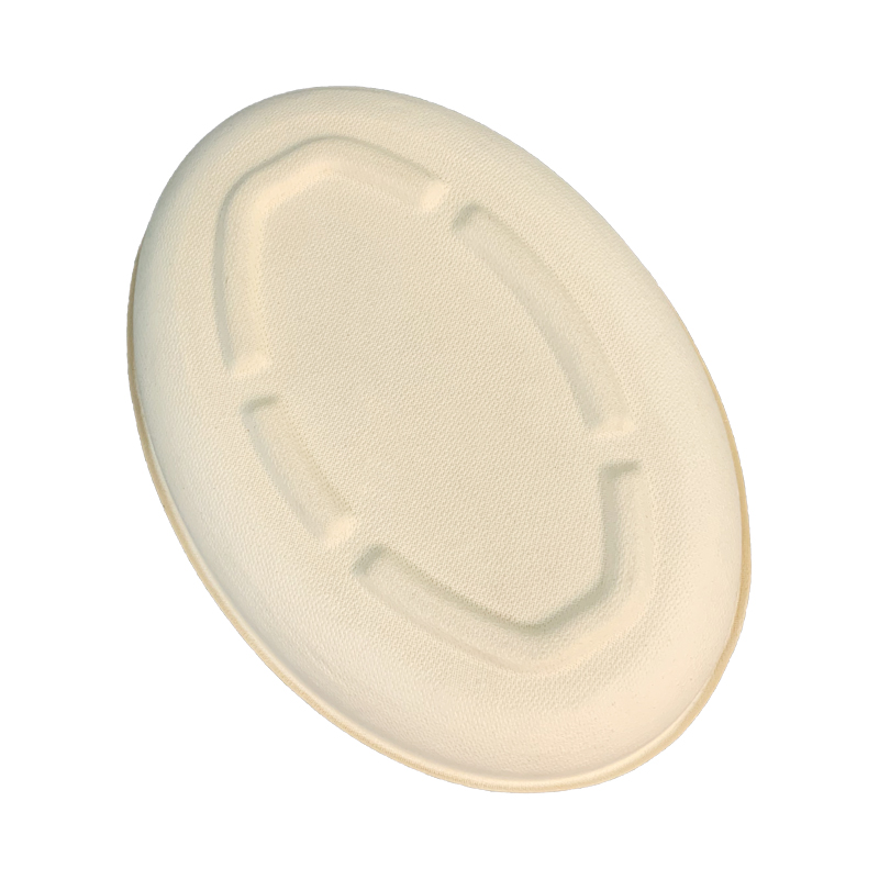 Biodegradable Bagasse Oval Disposable Plate