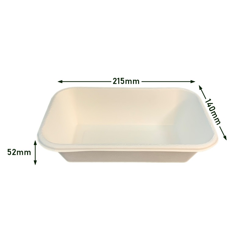 Biodegradable Sugarcane Bagasse Food Box with PET Lid