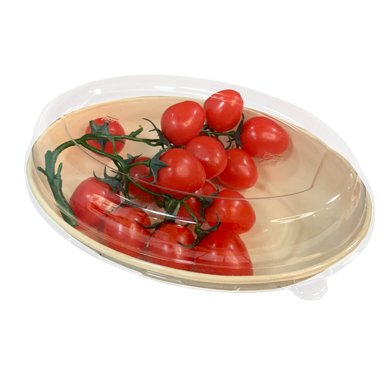 Compostable Sugarcane Take Out Containers with Lid 9inch Oval Disposable Plate