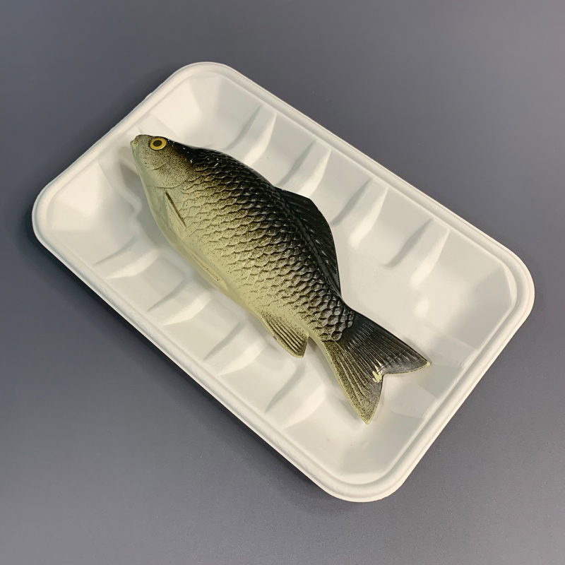 Biodegradable Sugarcane Bagasse Disposable Food Trays