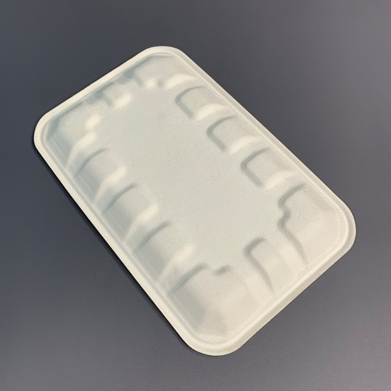 Sugarcane Bagasse Disposable Food Trays