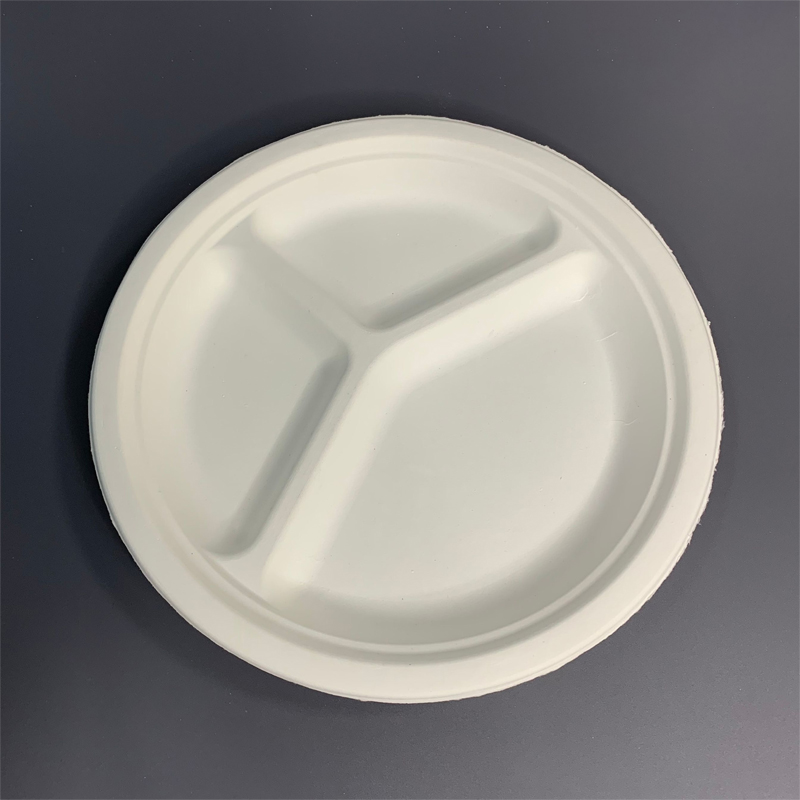 Biodegradable Bagasse Plate