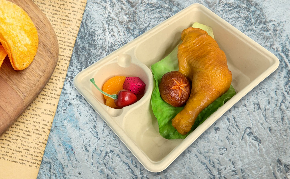 Compostable Sugarcane Pulp Paper Bento Box