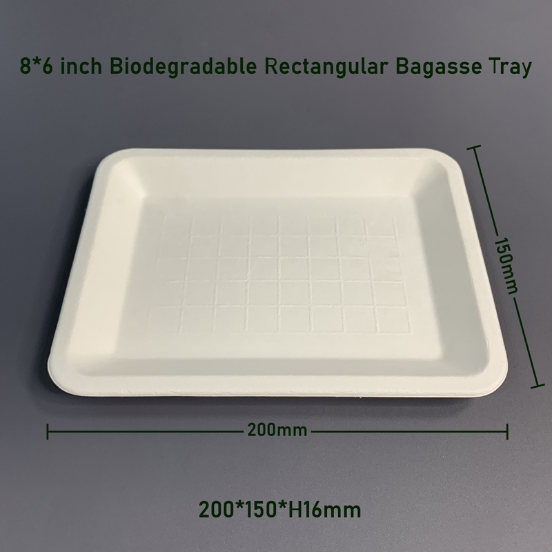 8*6 inch Biodegradable Rectangular Bagasse Food Trays