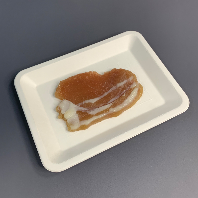 China Bagasse Food Trays Manufacturer