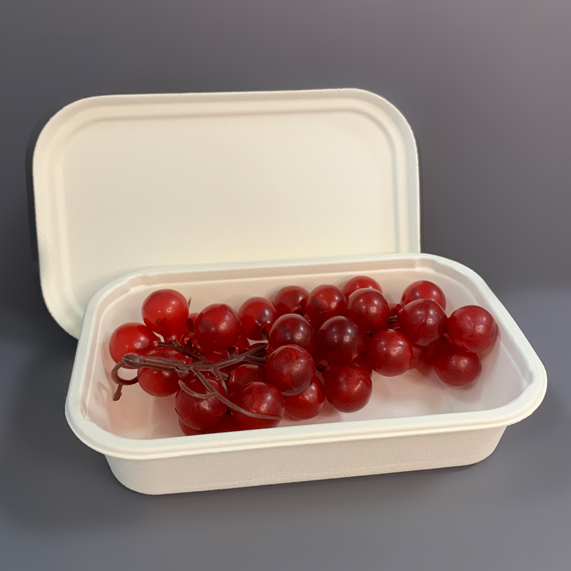 Biodegradable Bagasse Food Packaging Box with Lid