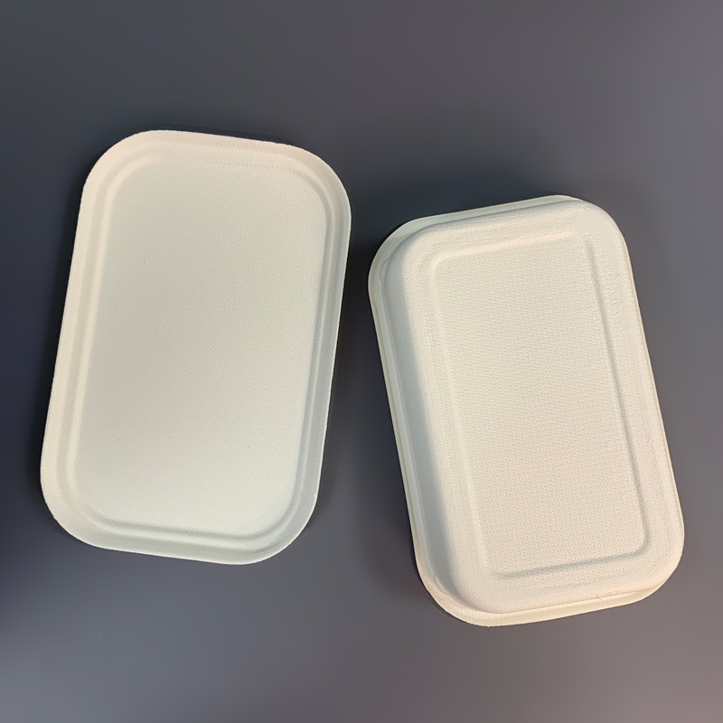 China Bagasse Food Packaging Box Manufacturer