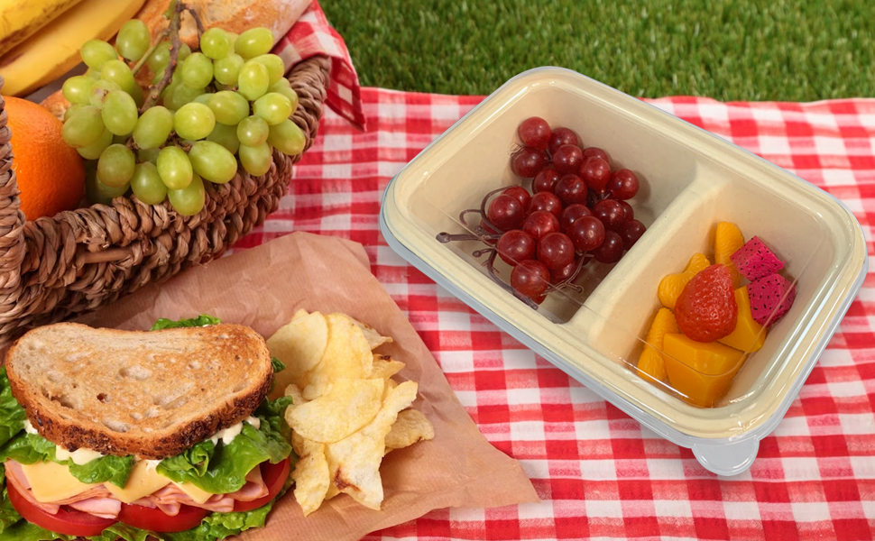 Bagasse Food Containers with Lid